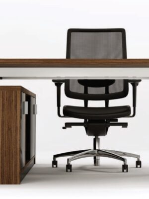 Executive Wood Veneer Style 2