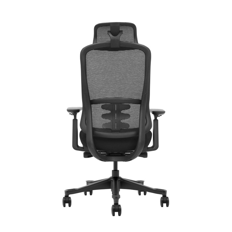 Class Black Back
